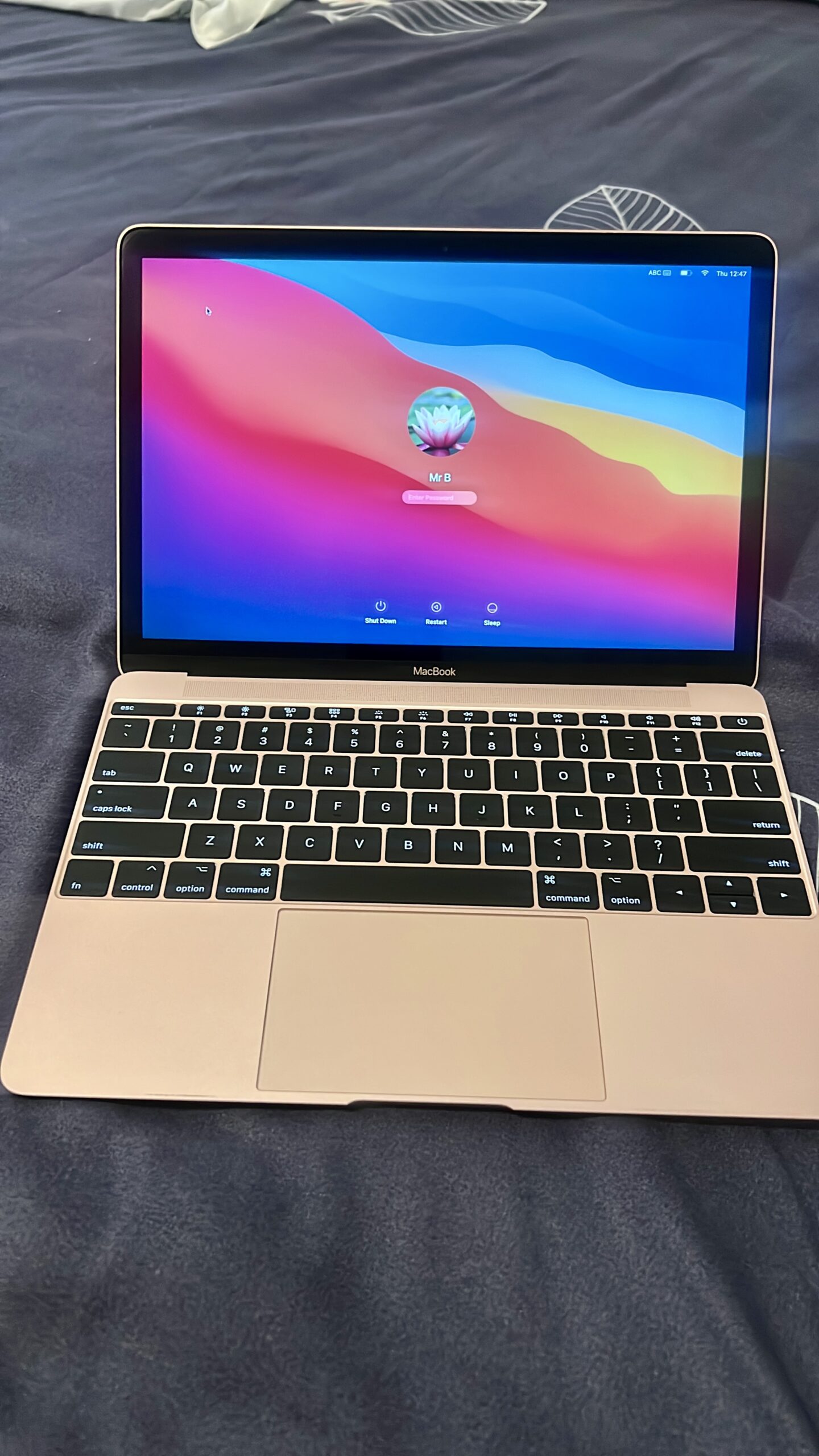 MacBook (Retina, 12-inch, 2017) - Image 9