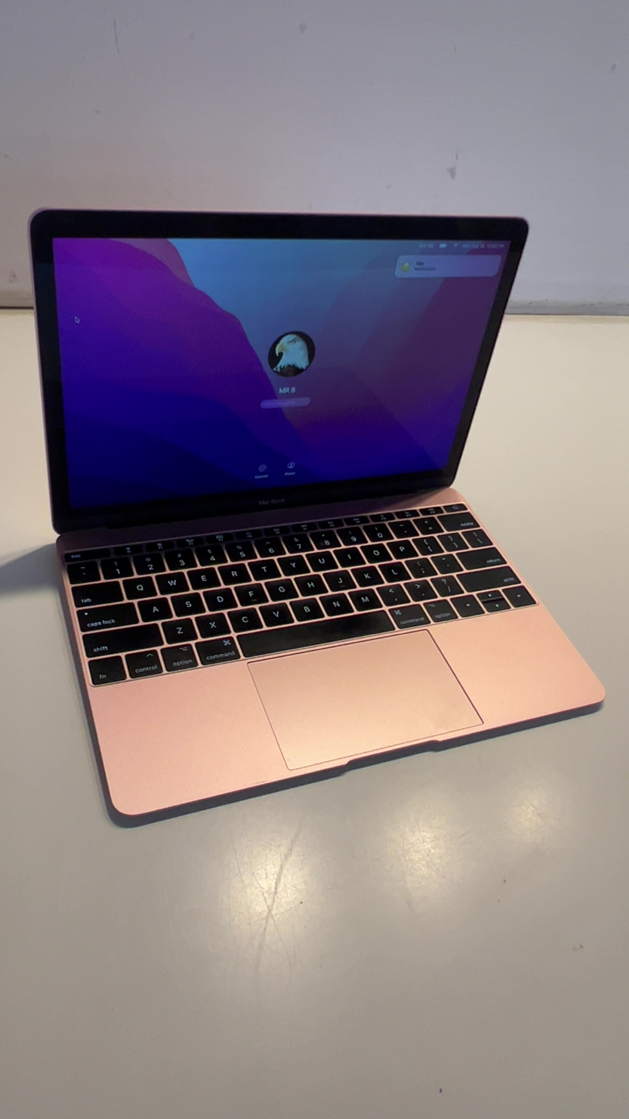 MacBook (Retina, 12-inch, 2017) - Image 7