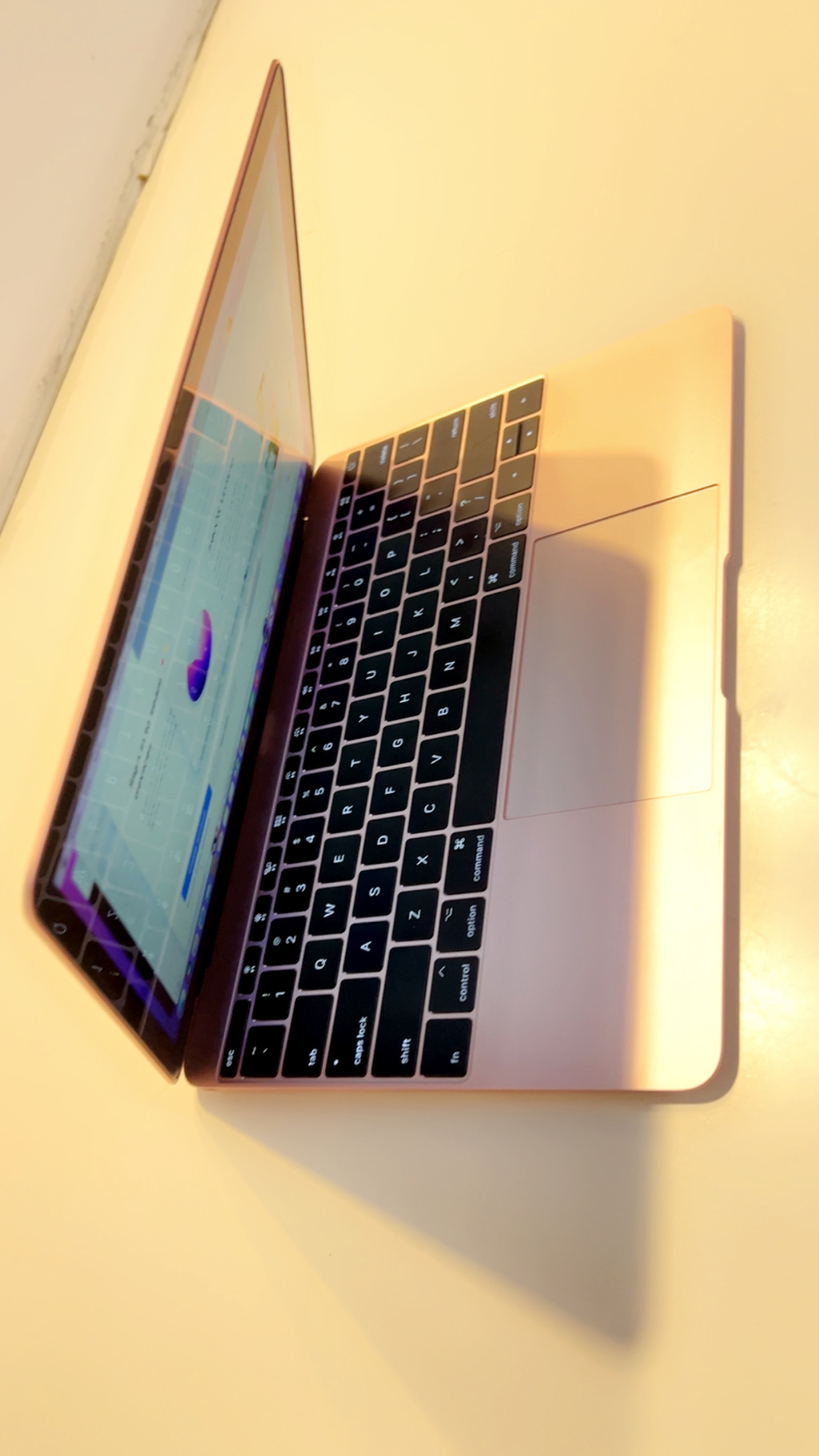 MacBook (Retina, 12-inch, 2017) - Image 6