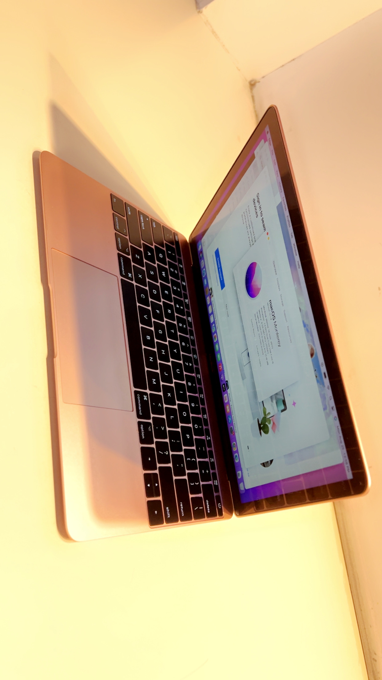 MacBook (Retina, 12-inch, 2017) - Image 5