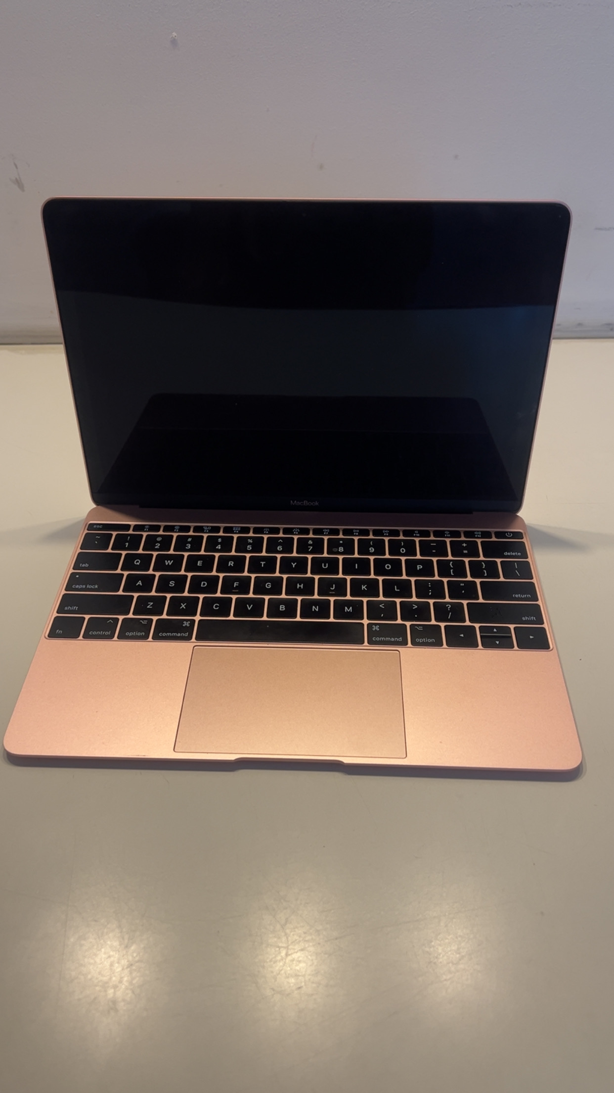 MacBook (Retina, 12-inch, 2017)