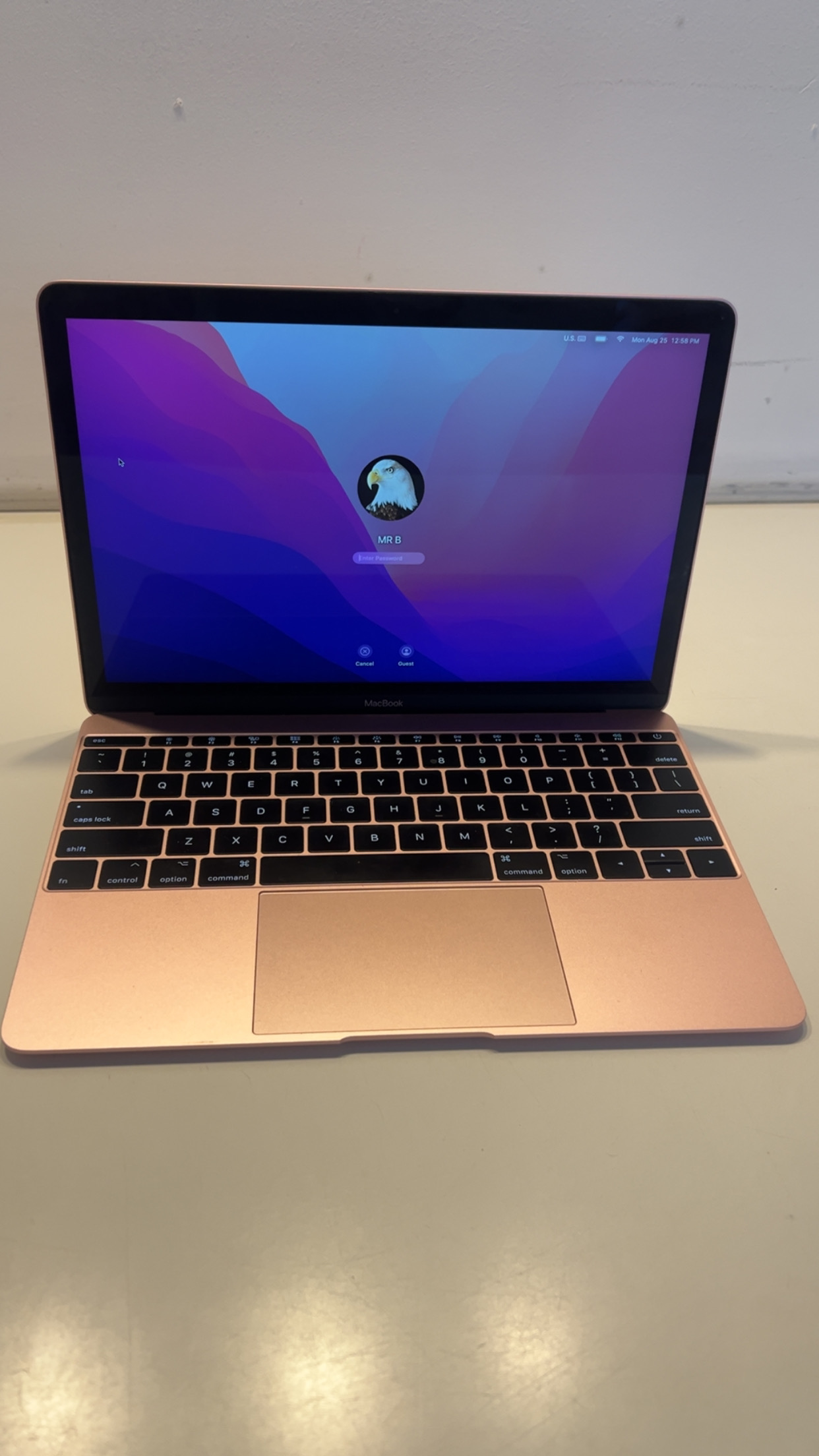 MacBook (Retina, 12-inch, 2017) - Image 2